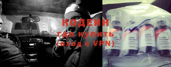 винт Бикин