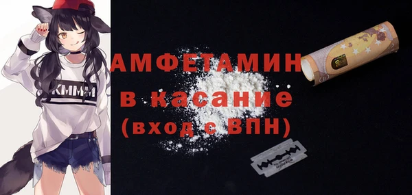 индика Абаза