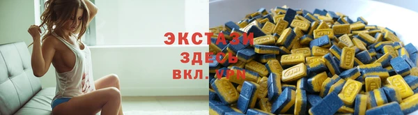 индика Абаза