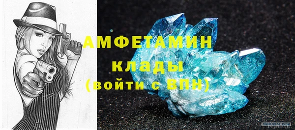 твердый Новозыбков