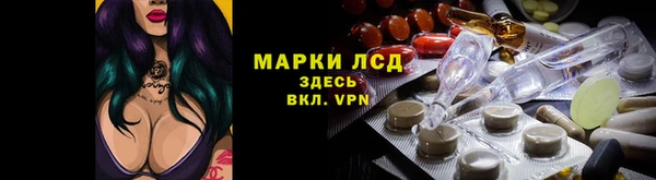 дмт Билибино