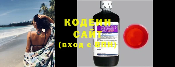 индика Абаза