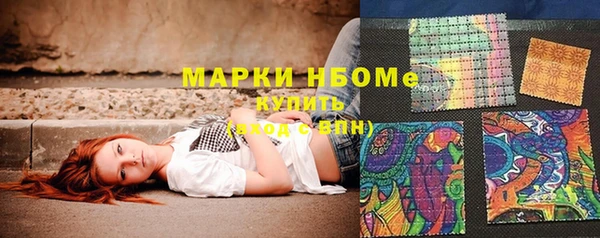 твердый Новозыбков