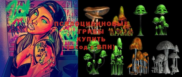 твердый Новозыбков