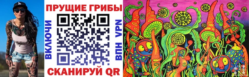 Псилоцибиновые грибы мицелий где купить Эртиль